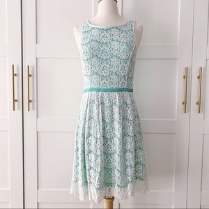 Elle Eyelash Lace Classic A-Line Dress